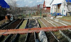 Сады и Купить дачу в Ижевске